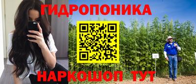 спиды Лесосибирск