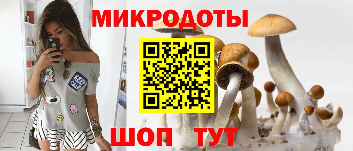 Псилоцибиновые грибы Magic Shrooms  Вход с VPN  Жигулёвск 